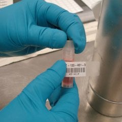 PTL-17-498